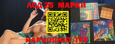 a pvp Краснодар