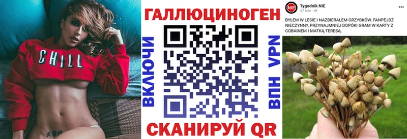 Галлюциногенные грибы мицелий Знаменск